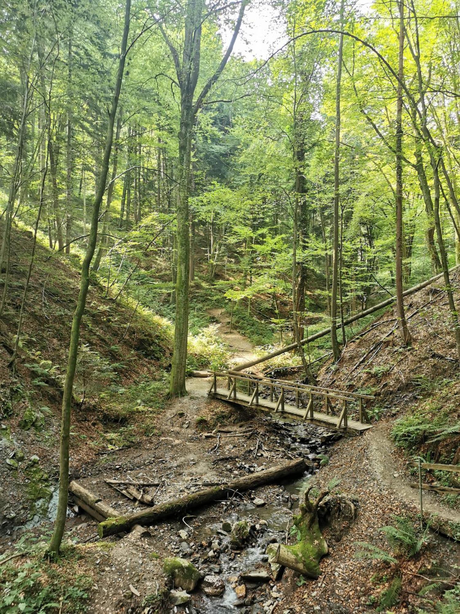 Traumhaftes Ferienhaus Am Lateinberg - 8455 Eibiswald Suedsteiermark エクステリア 写真