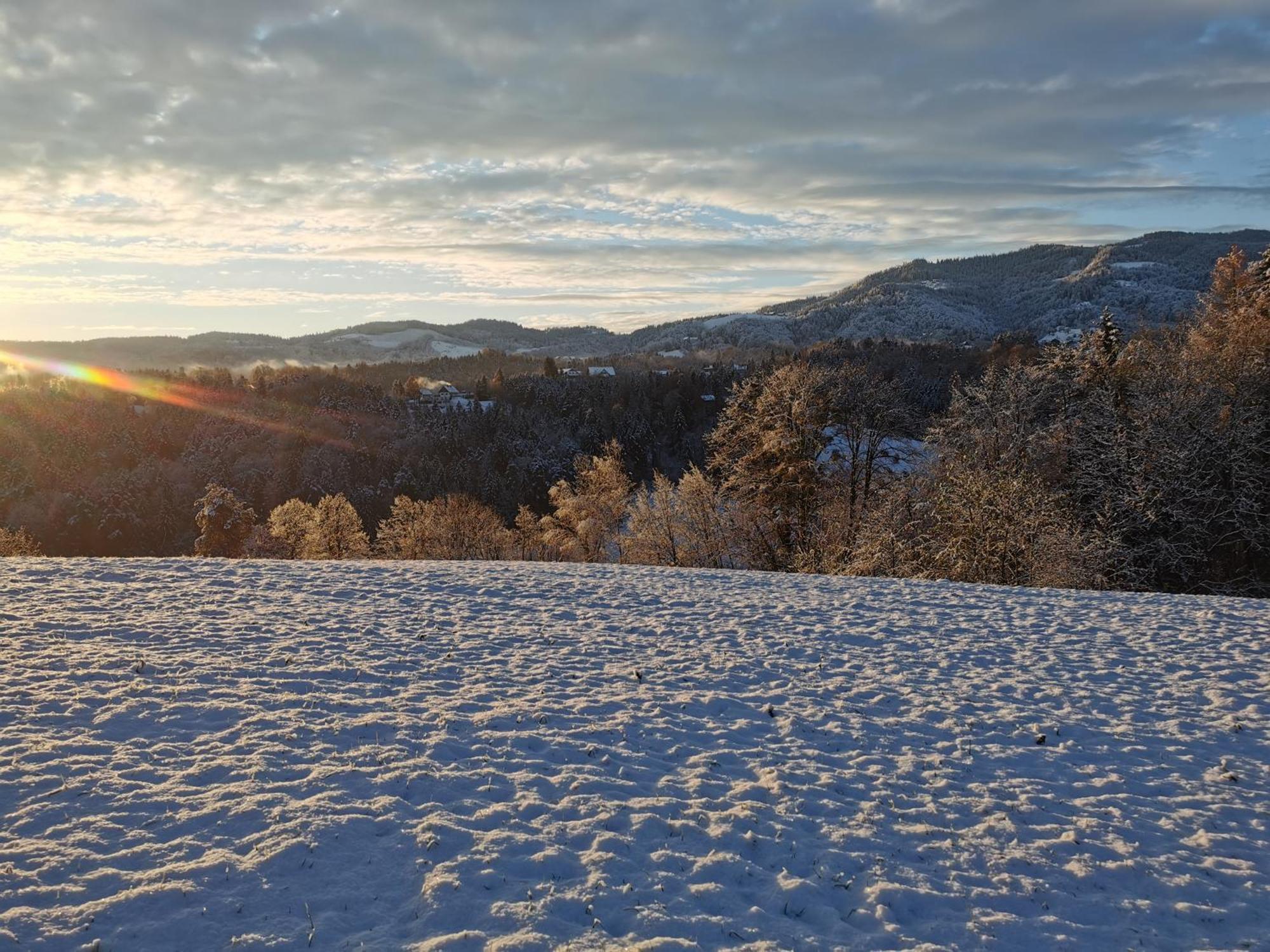 Traumhaftes Ferienhaus am Lateinberg - 8455 Eibiswald Südsteiermarkヴィラ エクステリア 写真