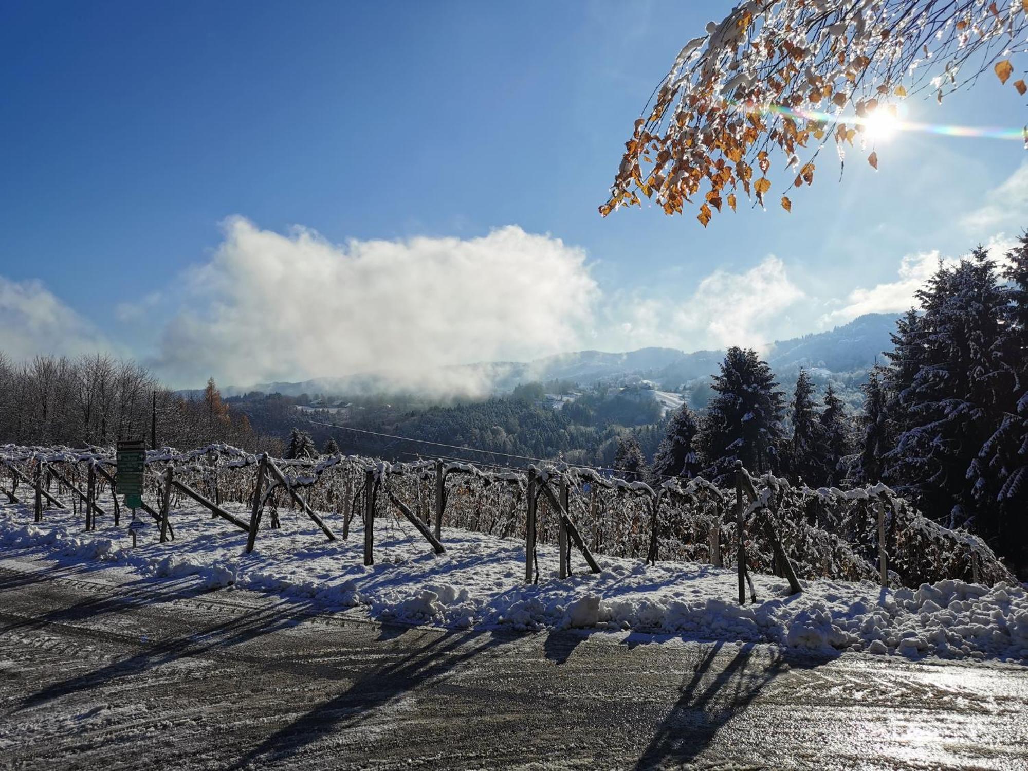 Traumhaftes Ferienhaus Am Lateinberg - 8455 Eibiswald Suedsteiermark エクステリア 写真