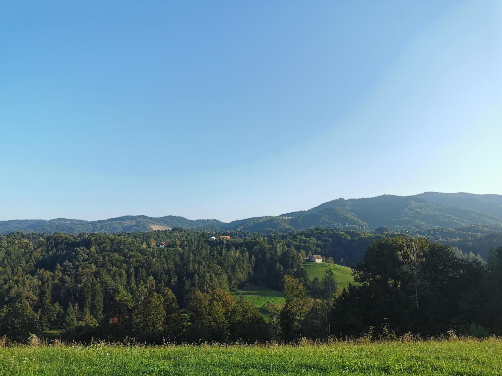 Traumhaftes Ferienhaus am Lateinberg - 8455 Eibiswald Südsteiermarkヴィラ エクステリア 写真