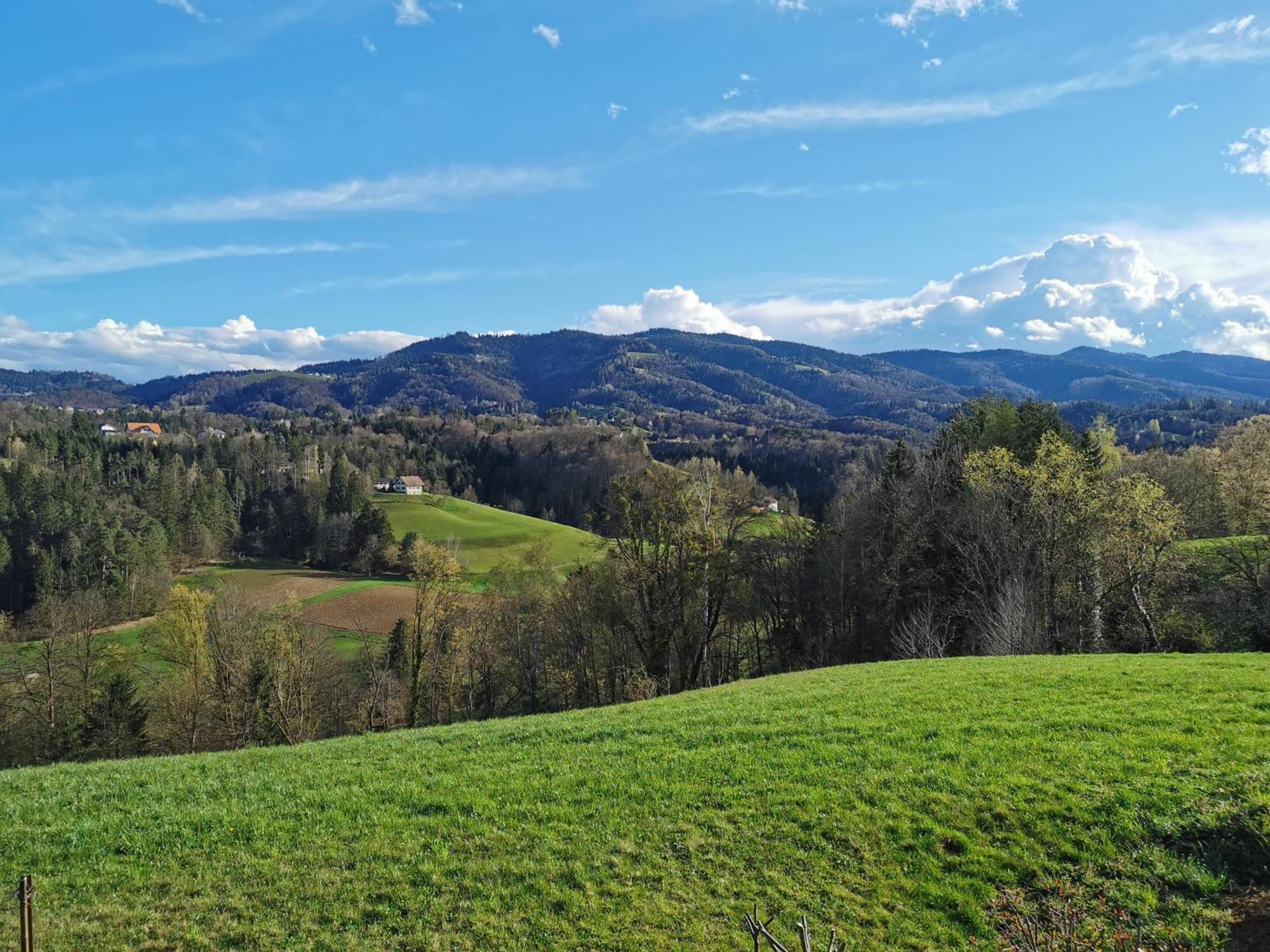 Traumhaftes Ferienhaus am Lateinberg - 8455 Eibiswald Südsteiermarkヴィラ エクステリア 写真