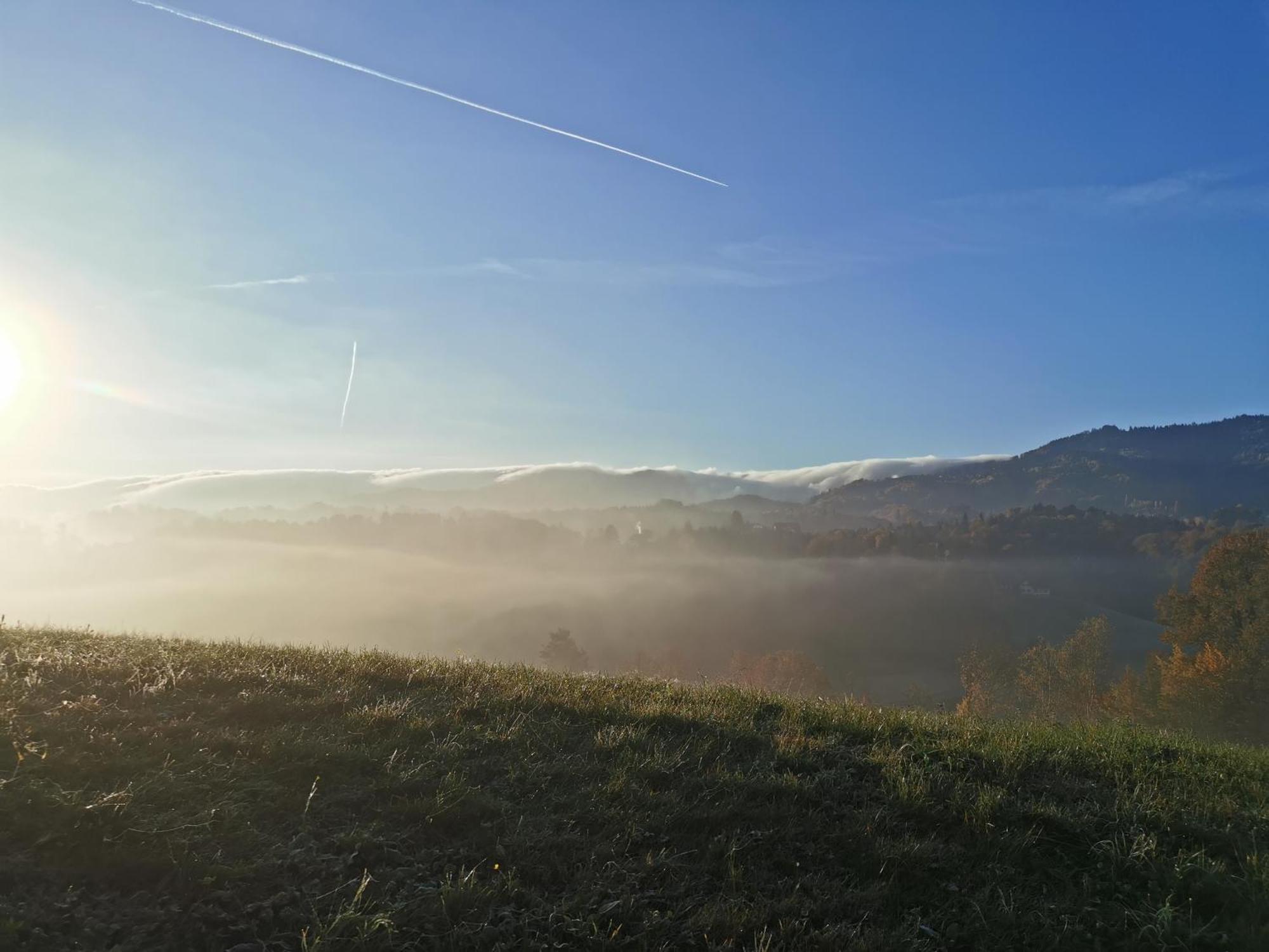 Traumhaftes Ferienhaus am Lateinberg - 8455 Eibiswald Südsteiermarkヴィラ エクステリア 写真